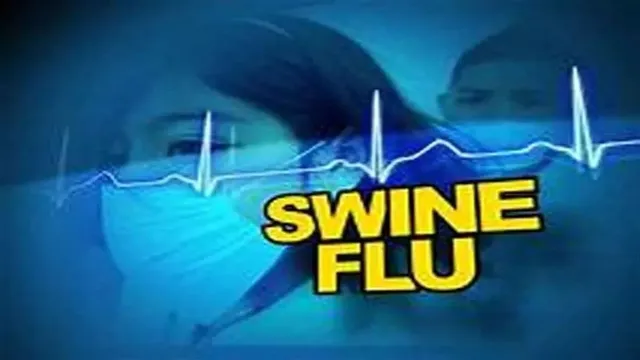 फिरोजाबाद में स्वाइन फ्लू की पुष्टि, जयपुर से लौटे बुजुर्ग संक्रमित; स्वास्थ्य विभाग अलर्ट फिरोजाबाद में स्वाइन फ्लू की पुष्टि, जयपुर से लौटे बुजुर्ग संक्रमित; स्वास्थ्य विभाग अलर्ट